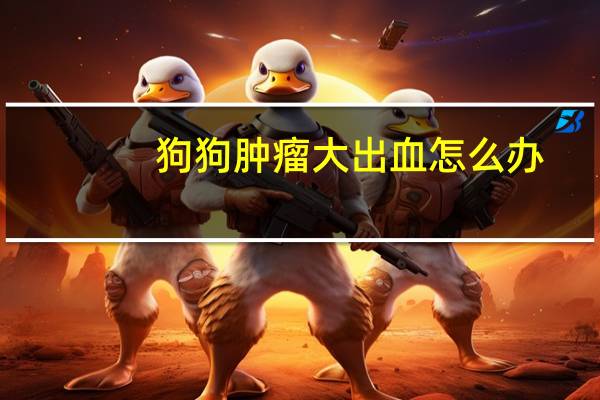 狗狗肿瘤大出血怎么办