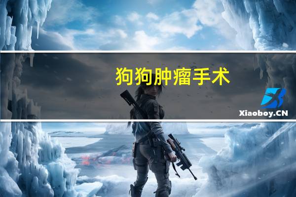 狗狗肿瘤手术