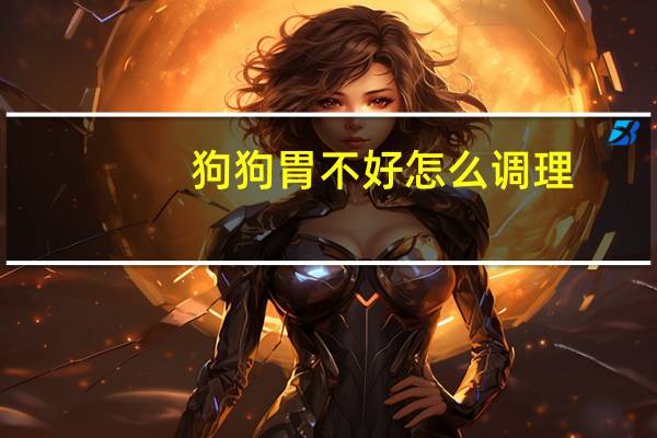 狗狗胃不好怎么调理
