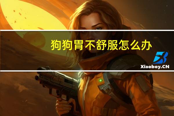 狗狗胃不舒服怎么办
