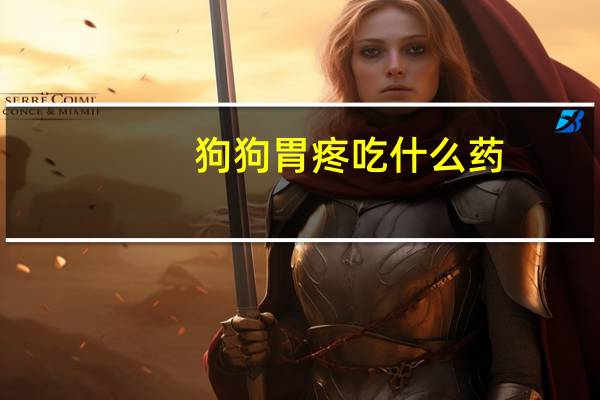 狗狗胃疼吃什么药