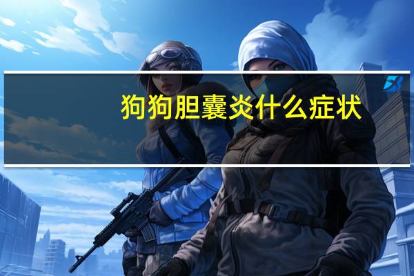 狗狗胆囊炎什么症状