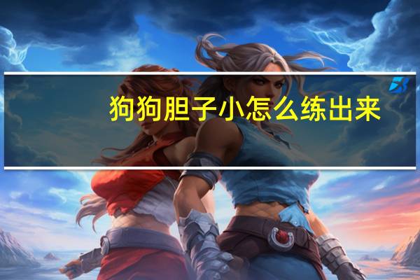 狗狗胆子小怎么练出来