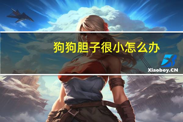 狗狗胆子很小怎么办