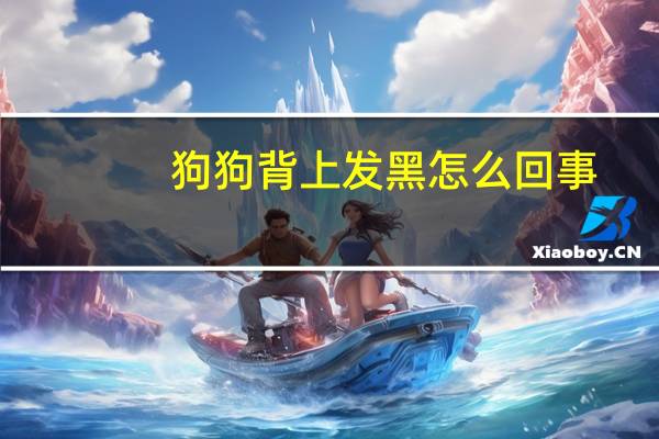 狗狗背上发黑怎么回事
