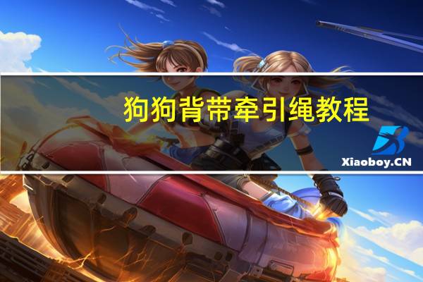 狗狗背带牵引绳教程