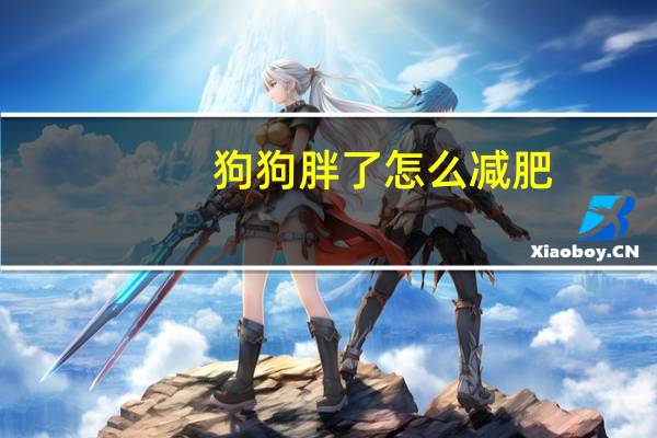 狗狗胖了怎么减肥