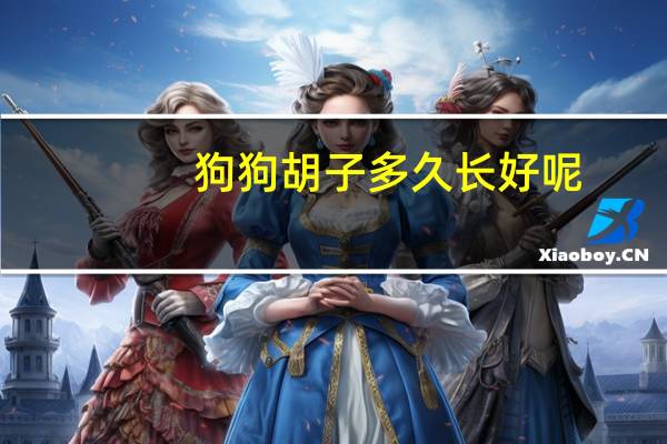 狗狗胡子多久长好呢