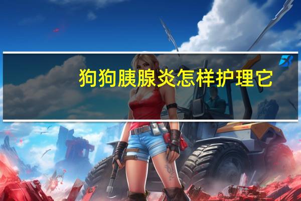 狗狗胰腺炎怎样护理它