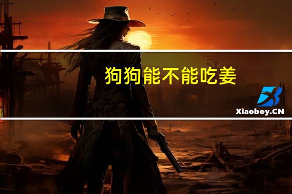 狗狗能不能吃姜