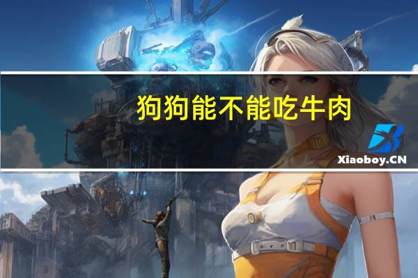 狗狗能不能吃牛肉