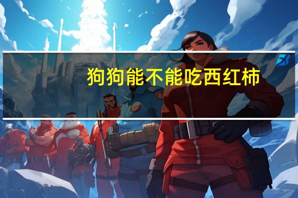 狗狗能不能吃西红柿