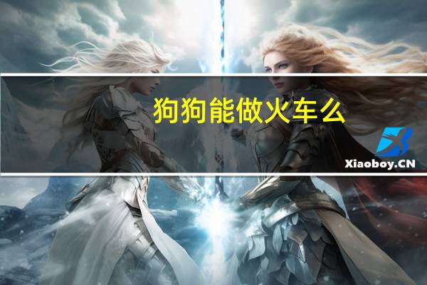 狗狗能做火车么