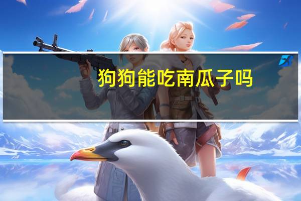 狗狗能吃南瓜子吗