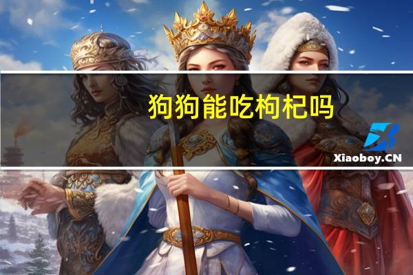 狗狗能吃枸杞吗