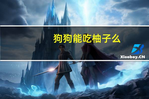 狗狗能吃柚子么