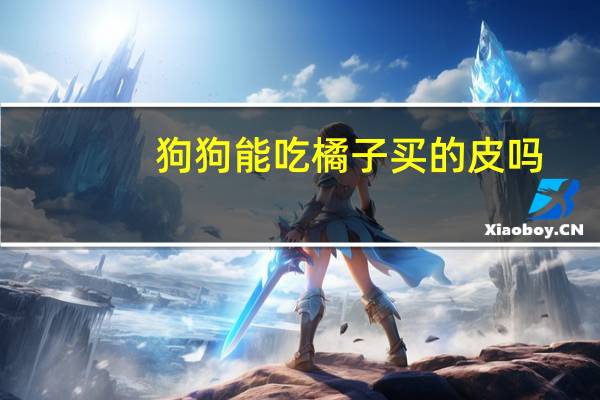 狗狗能吃橘子买的皮吗