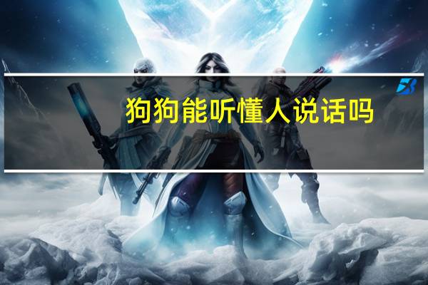 狗狗能听懂人说话吗