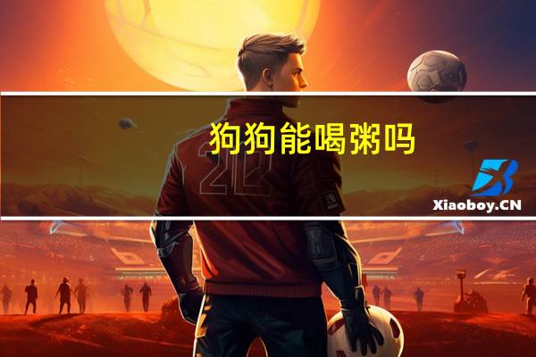 狗狗能喝粥吗