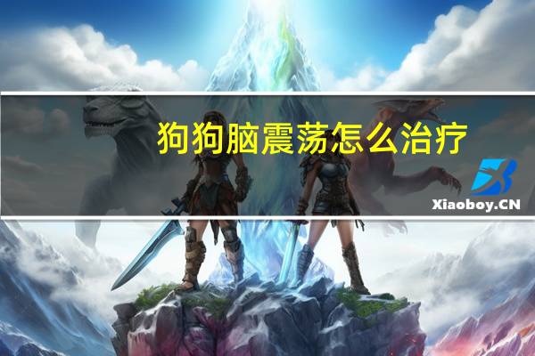 狗狗脑震荡怎么治疗