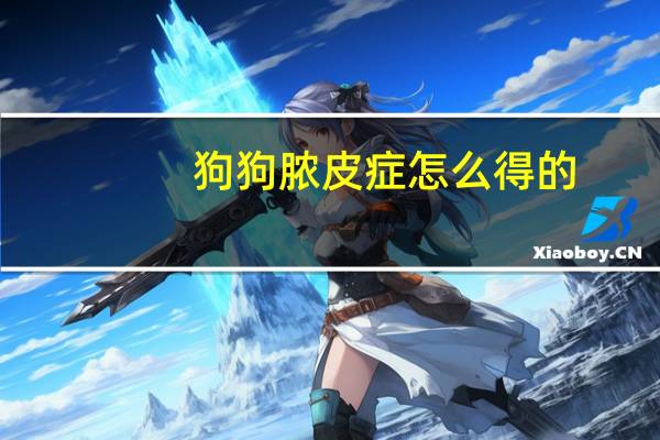 狗狗脓皮症怎么得的