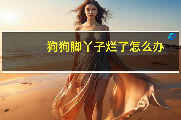 狗狗脚丫子烂了怎么办