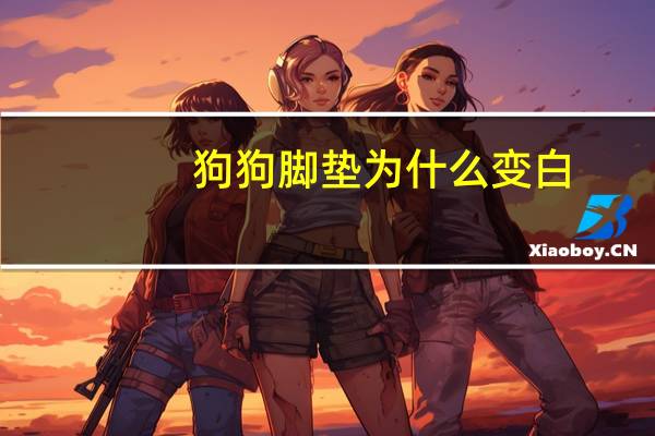 狗狗脚垫为什么变白