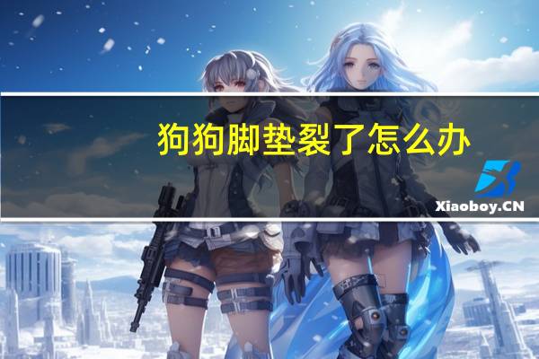 狗狗脚垫裂了怎么办