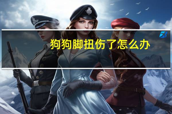 狗狗脚扭伤了怎么办