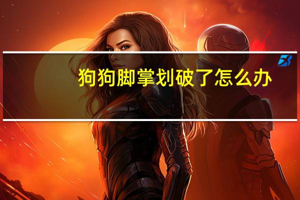 狗狗脚掌划破了怎么办