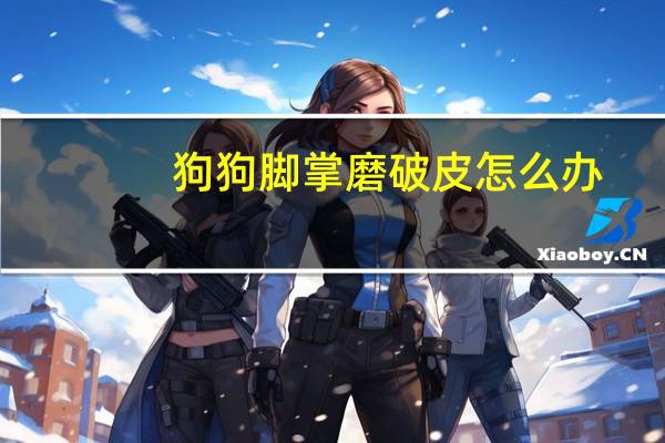 狗狗脚掌磨破皮怎么办