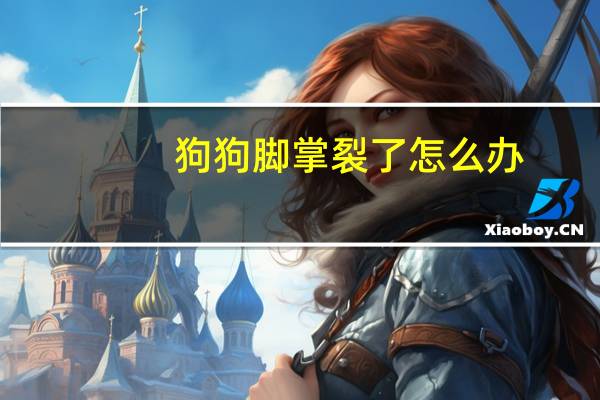 狗狗脚掌裂了怎么办