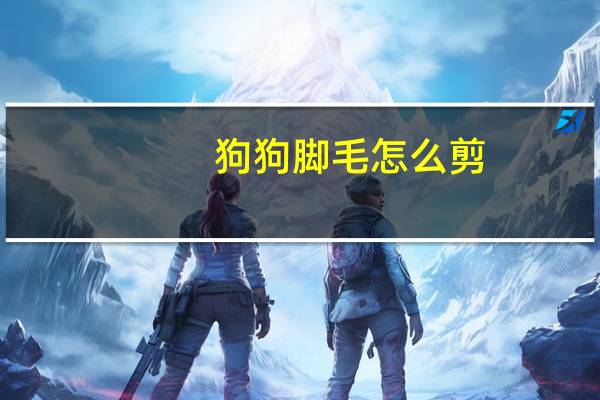 狗狗脚毛怎么剪