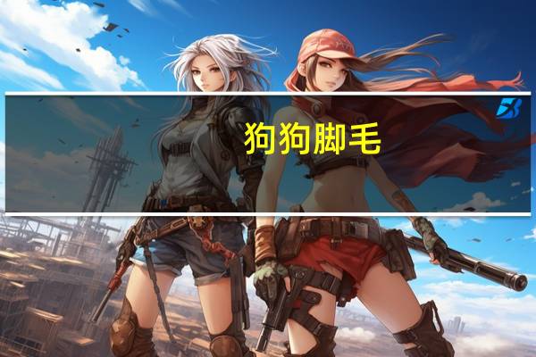 狗狗脚毛