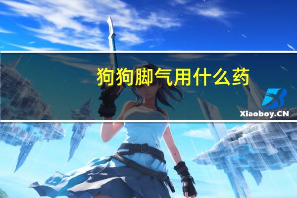 狗狗脚气用什么药