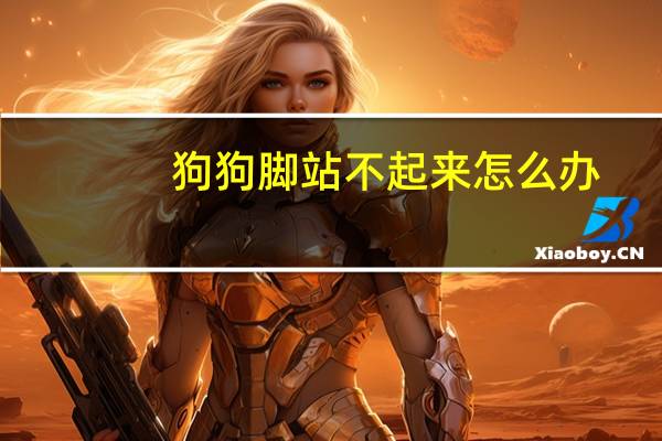 狗狗脚站不起来怎么办
