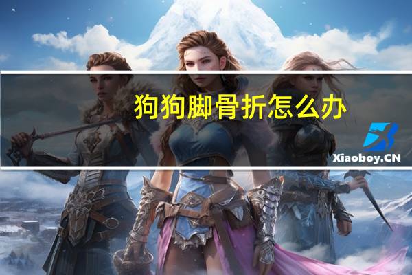 狗狗脚骨折怎么办