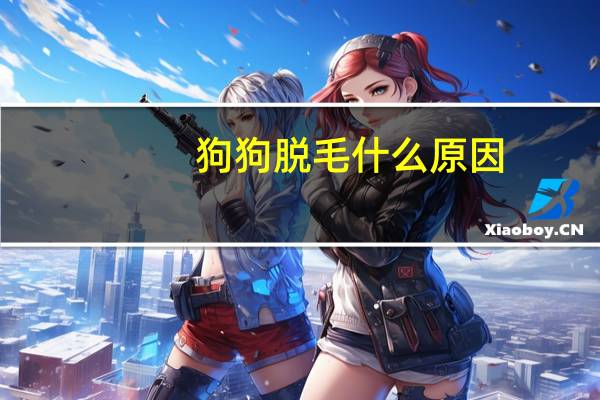 狗狗脱毛什么原因