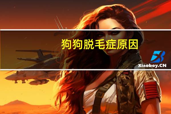狗狗脱毛症原因
