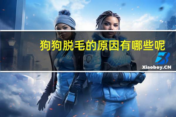 狗狗脱毛的原因有哪些呢