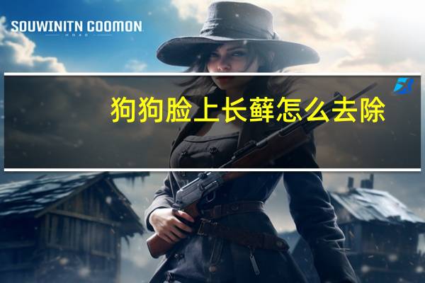 狗狗脸上长藓怎么去除