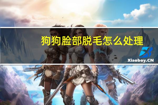 狗狗脸部脱毛怎么处理