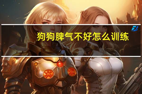 狗狗脾气不好怎么训练