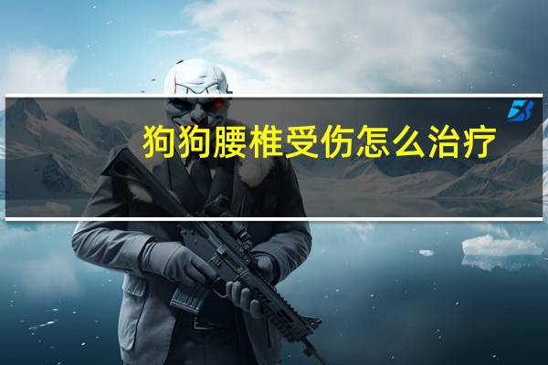 狗狗腰椎受伤怎么治疗