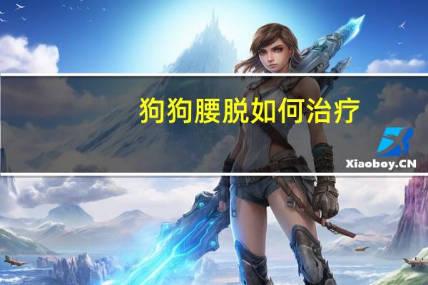 狗狗腰脱如何治疗