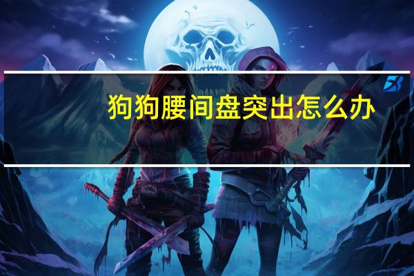 狗狗腰间盘突出怎么办