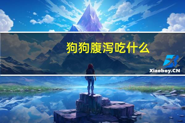 狗狗腹泻吃什么