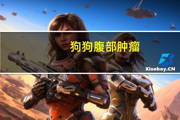 狗狗腹部肿瘤