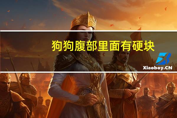 狗狗腹部里面有硬块