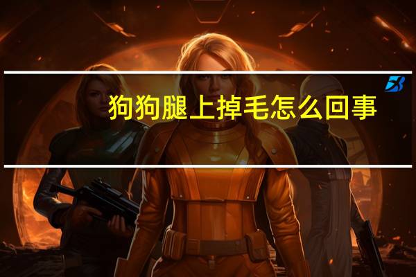 狗狗腿上掉毛怎么回事
